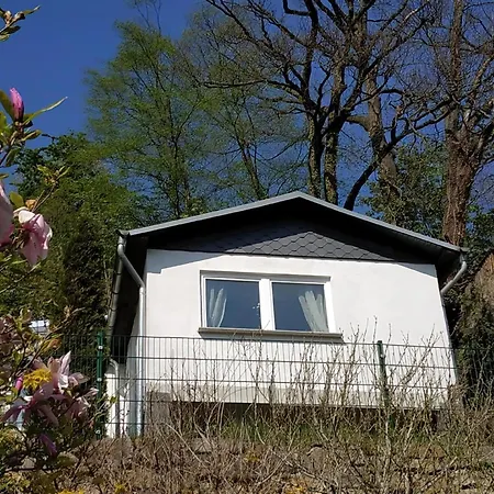 Holiday home In Mit Schoener Terrasse Pirna