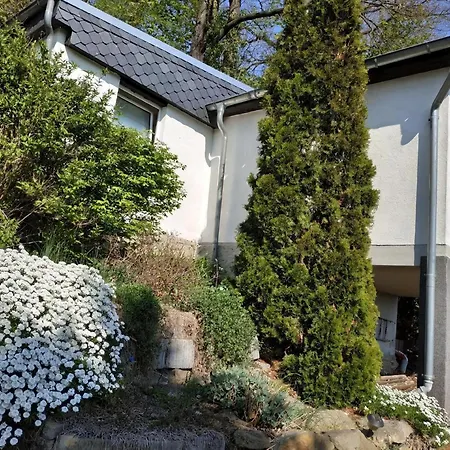 In Mit Schoener Terrasse Pirna