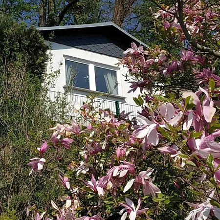 Holiday home In Mit Schoener Terrasse